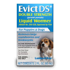 Get great deals on ebay! Pbi Gordon Lambert Kay Pbg Evict Liquid Wormer Double Strength 2 Oz Pet Supplies Dog Supplies First Aid