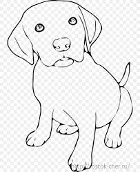 The 20 cute puppy let us know if your kid truly enjoyed coloring this particular set of puppy coloring pages to print and. Puppy And Kitten Coloring Pages Labrador Retriever Golden Book Excelent Photo Inspirations Wallpaper Stephenbenedictdyson