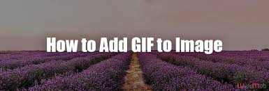 add animated gif to a still image