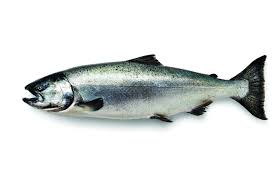 king salmon vs sockeye salmon