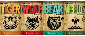 Image result for cub scouts