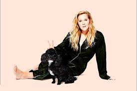 Amy Schumer Pittsburgh Official Ticket Source Heinz Hall