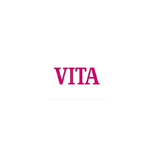 Vita Vm13 Base Dentin 3 1 5 12g