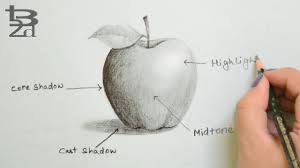 Draw Apple With Pencil How To Do Shading Learn Light And Shadow