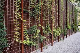 11 Wire Mesh Greenwall Ideas Vertical