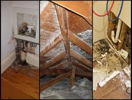 Water And Mold Keep Your Spaces