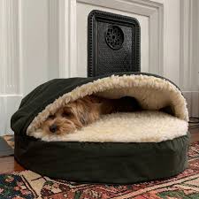 This indeed a dog bed perfect for calming separation anxiety in dogs. Best Dog Beds According To Dog Experts 2021 The Strategist New York Magazine