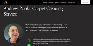 the 6 best carpet cleaners in brisbane