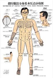 Shiatsu Acupressure Points Massage Therapy Akupressur