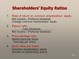 Shareholder Equity Barca Fontanacountryinn Com
