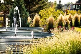 70 Outdoor Water Feature Ideas