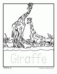 Simply bring the animals to your home with these free printable coloring pictures and surprise your children by coloring the different zoo animals. Zoo Animal Coloring Pages With Letter Writing Practice