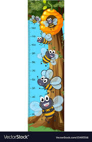 Height Measurement Chart Bees Flying