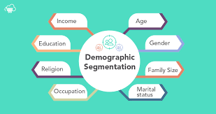 demographic segmentation what is it