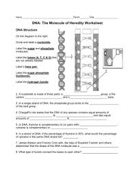 Dna double helix worksheet & the double helix coloring worksheet from dna replication coloring worksheet answer key , source: Dna The Blueprint Of Life Coloring Worksheet