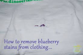 remove blueberry stains from clothing