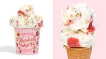does-dolly-parton-own-jenis-ice-cream