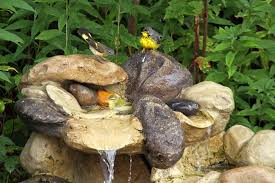 Fountains Safe For Birds