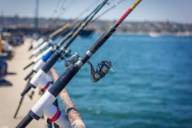I like the fly tackle for the longer rod and floating fly line. Pier Fishing Tips For Beginners