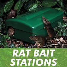 bait stations for rodents rats mice