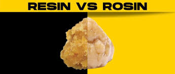 resin vs rosin what s the main