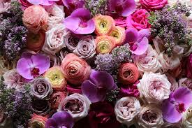 Same and next day flower delivery available in london. Luxury Flower Delivery Same Day In London And Next Day Nationwide Agent F Same Day Flower Delivery In London