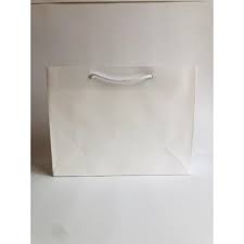 cord handled glossy gift bags white