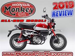 2019 honda monkey 125 review of specs