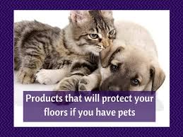 pets and want to protect your floors