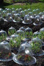 Garden Cloche Indoor Flowers Bell Gardens