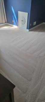 top rated carpet cleaning company in