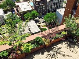 Brooklyn Rooftop Terrace Outside