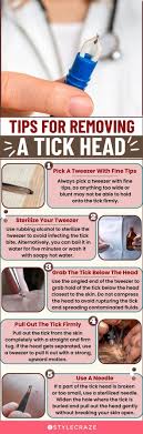 how to remove a tick head effectively