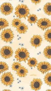 hd sunflower wallpapers peakpx