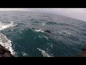 Résultat de recherche d'images pour "La Mer Noire"