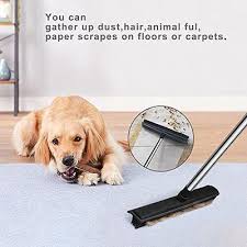 pet hair removal with squeegee fur