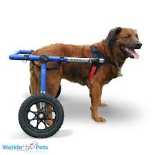 dog wheelchair walkin wheels dog