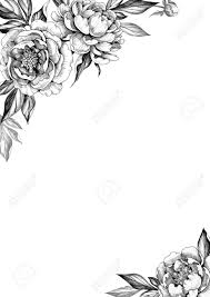 Black And White Elegant Background With Peony Flowers Hand Drawn