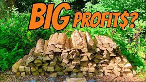 Or you can set up a child's summer camp or even special night star gazing for aspiring astronomers. Firewood Bundles How Profitable Are They Youtube