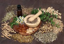 natural herbal medicine for cough