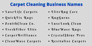 700 cute carpet cleaning business names