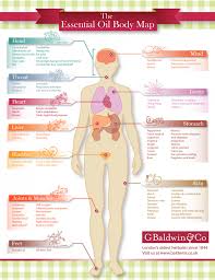 Essential Oil Body Map Visual Ly