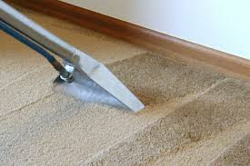 professional carpet cleaning in mount