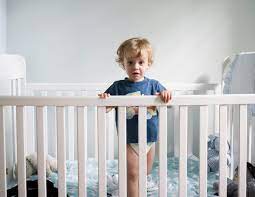 toddlers should sleep in a cot until