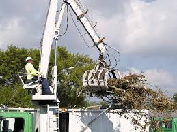 Experienced in the tree services industry specializing in tree removal, trimming, lot clearing and stump grinding for more than 20 years. Robles Tree Services Home Facebook