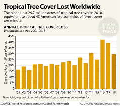 Chart Tropical Tree Cover Lost Worldwide Insideclimate News