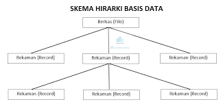 Contoh tabel yang berisi kolom dan baris. Database Pengertian Hierarki Macam Pengembangan Proses