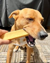 are himan chews safe for dogs