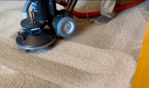 services lynn s carpet cleaning