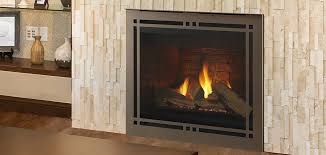Direct Vent Gas Fireplace Chimney Drs